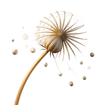 vibrant contemporary A single dandelion seedhead with seeds blowing in the wind, backlit by a bright light, whimsical style authentic png