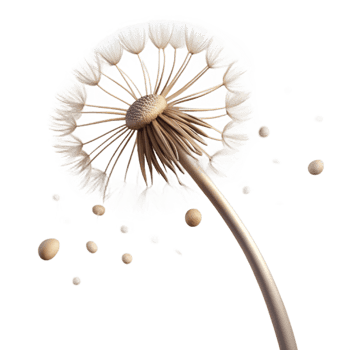 extraordinary creative A single dandelion seedhead with seeds blowing in the wind, backlit by a bright light, whimsical style premium png