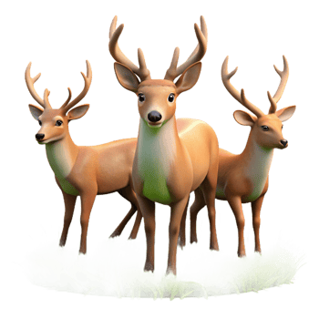 vibrant minimalist A Group of Deer Grazing in a Meadow Soft genuine png