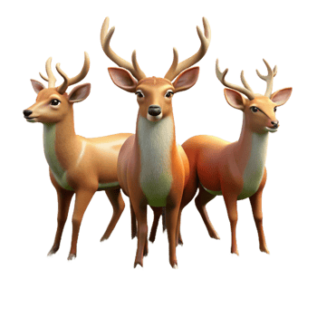 extraordinary classic A Group of Deer Grazing in a Meadow Soft premium png