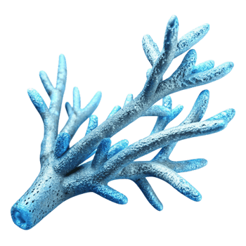 magnificent traditional A branch covered in frost, intricate detail, cool blue lighting, winter scene detailed png