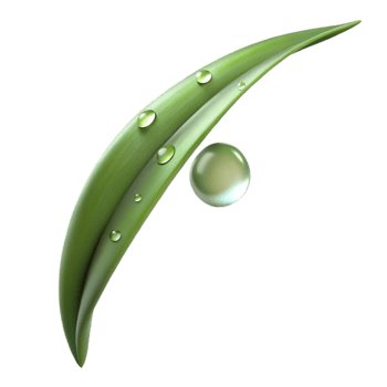 wonderful creative A Single Blade of Grass with Dew Drops original png