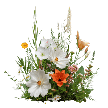 Beautiful Arrangement of Colorful Flowers with Lush Greenery and Water Droplets png