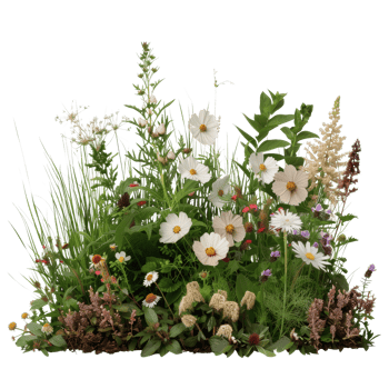 Vibrant Wildflower Garden Composition with Diverse Flora and Lush Greenery for Nature Enthusiasts png