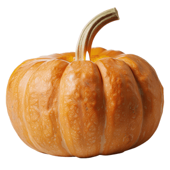 Vibrant Orange Pumpkin with Curved Stem Isolated on White Background for Fall Decoration png