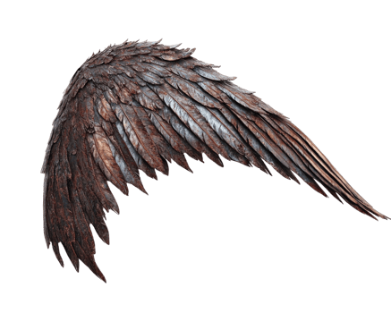 detailed, textured wing with intricate feather patterns, showcasing blend of dark and metallic hues, perfect for fantasy or mythical themes png