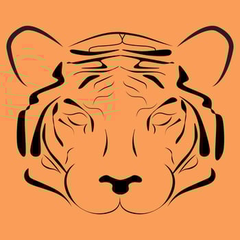 Illustration of tiger strip shadow on orange background vector