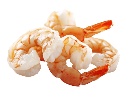 Fresh shrimp, seafood, raw shrimp, shellfish, healthy protein, culinary ingredient, gourmet cooking, seafood dish, shrimp cocktail, marine food png