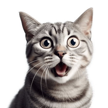 Shocked Cat with Wide Eyes Isolated on Transparent Background png