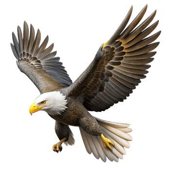 extraordinary modern Majestic Bald Eagle in high resolution png