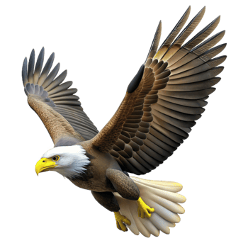 dramatic abstract Majestic Bald Eagle in high quality png