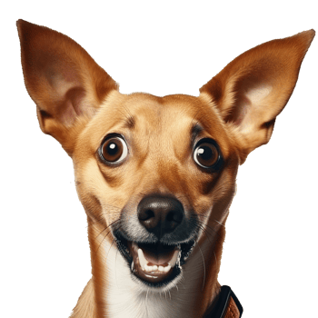 Shocked Dog with Wide Eyes Isolated on Transparent Background png