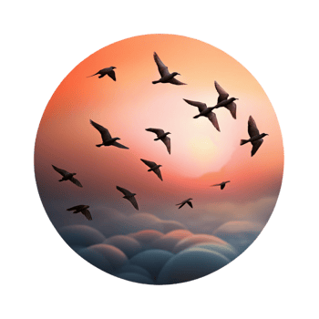beautiful classic A flock of birds flying in formation against a dramatic sunset sky, silhouette, minimalist style exclusive png