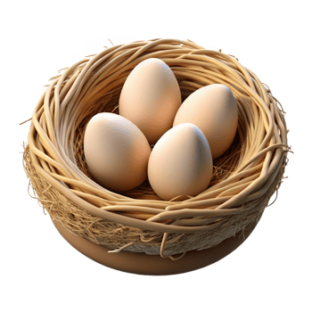 dramatic traditional A Bird S Nest with Eggs Intricate genuine png