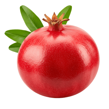 A single pomegranate with green leaves isolated on a plain surface showing its vibrant color and texture transparent background png
