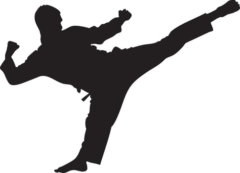 silhouette men karate fight taekwondo vector