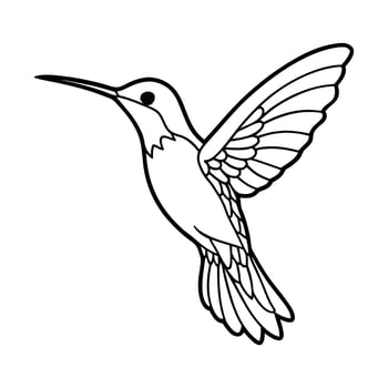 Beautiful Hummingbird Outline Illustration for Coloring Book vector