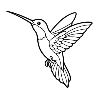 Hummingbird Outline Illustration for Coloring Book Flying Bird Line Art for Kids and Adults vector