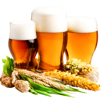 Refreshing Craft Beers and Barley with Grains Wooden Surface png