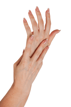 Beautiful female hands with french manicure on nails isolated png