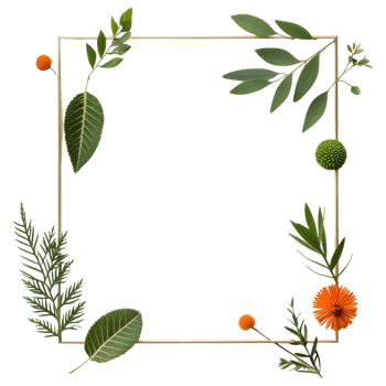 Free Isolated on Transparent Background, beautiful frame adorned with vibrant flowers and lush leaves creates stunning natural display png