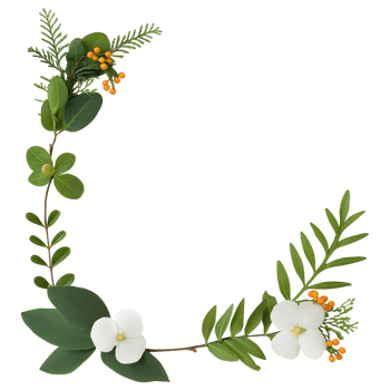 Free Isolated on Transparent Background, beautiful floral frame featuring vibrant leaves and delicate white flowers, perfect for decoration png