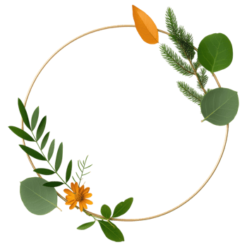 Free Isolated on Transparent Background, beautiful frame adorned with vibrant flower, green leaf, and autumn leaf creates stunning natural display png