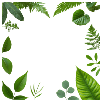 Free Isolated on Transparent Background, Lush green leaves create beautiful frame showcasing nature vibrant beauty and serenity png