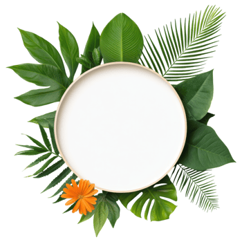 Free Isolated on Transparent Background, beautiful frame adorned with vibrant leaves and bright flower creates perfect backdrop for any design png