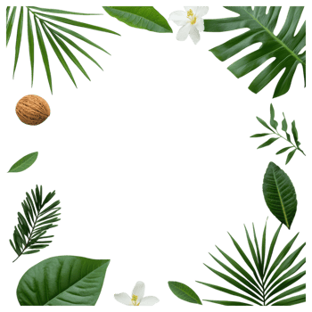 Free Isolated on Transparent Background, beautiful frame of green leaves and white flowers creates serene atmosphere with nature charm png