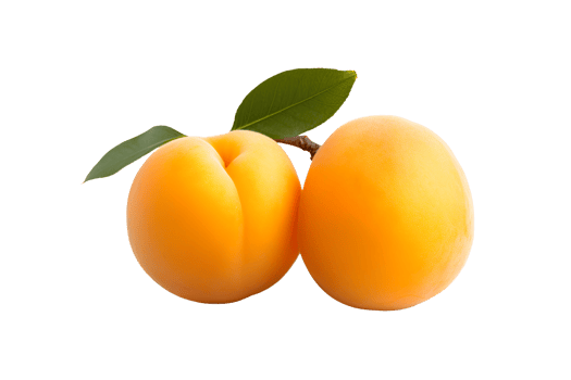 apricot isolated on transparent background png