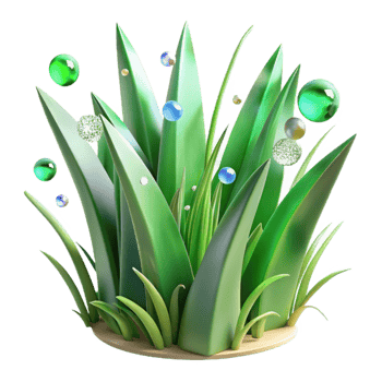 wonderful artistic Green Grass Blades Transparent for Botanical Art high resolution png