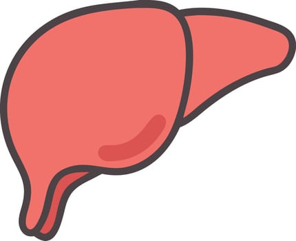 Elegant Liver Design with Smooth, Fluid Lines vector