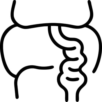 Decorative Colon for Graphic Design vector