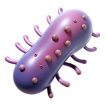 vibrant abstract A bacteria, rod-shaped, microscopic, professional png