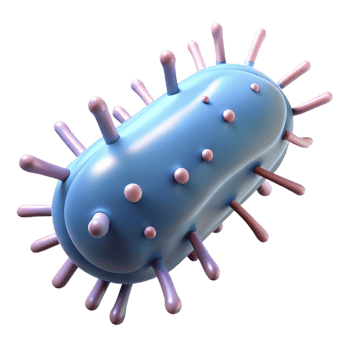 vibrant traditional A bacteria, rod-shaped, microscopic, detailed png
