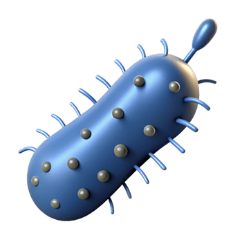 impressive rustic A bacteria, rod-shaped, microscopic, genuine png
