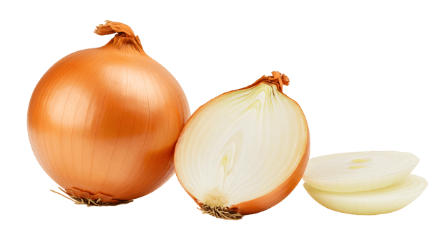 Fresh Sliced Onion on Transparent Background png