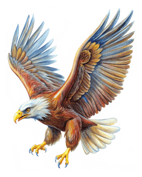 Giant Winged Eagle in Transparent Background png