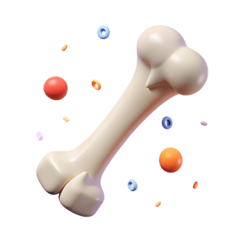 impressive creative Femur Leg Bone Anatomy Icon Isolated for Healthcare Graphics exclusive png