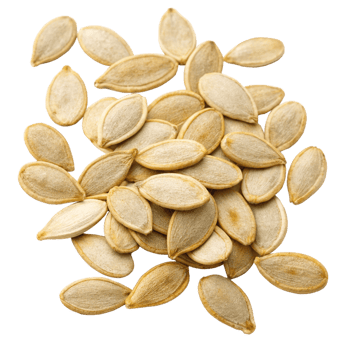A Pile of Roasted Pumpkin Seeds Close Up Studio Shot png