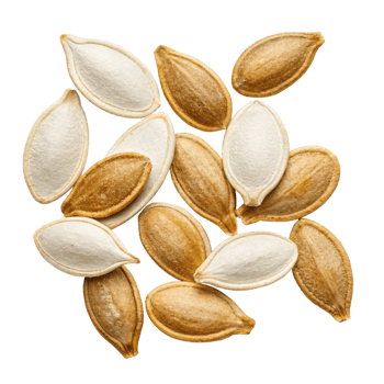 A Collection of Roasted Pumpkin Seeds of Varying Colors and Shades png