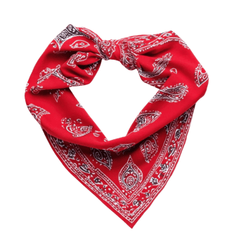Red Bandana Outfit Style Inspiration on transparent background. png