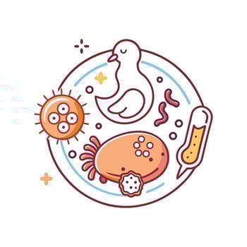 Illustration of Bacteria in Raw Chicken vector