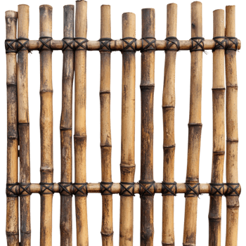 Bamboo Fence Natural Beauty on transparent background. png