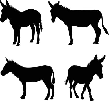 donkey silhouette illustration vector