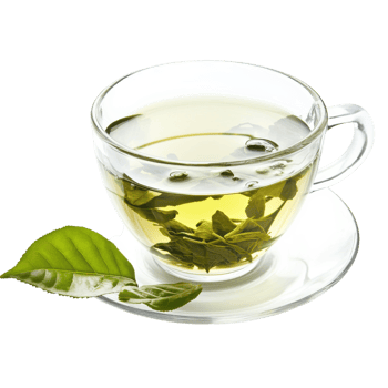 Tranquil Green Tea Cup of Zen on transparent background. png