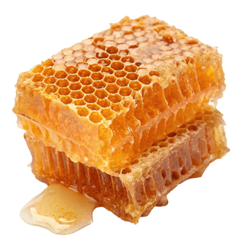 Honeycomb isolated on transparent background png