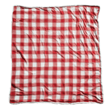 Red Checkered Picnic Blanket Outdoors on transparent background. png
