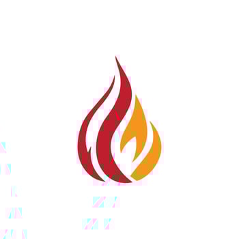 fire flame logo design vector